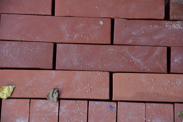 DSC_0697